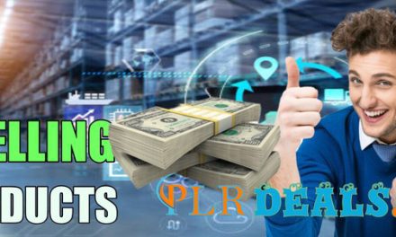 is selling PLR going to make money