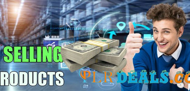 is selling PLR going to make money