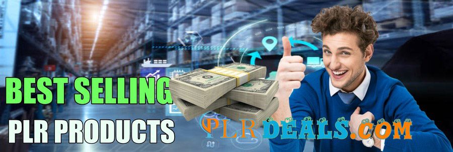 is selling PLR going to make money