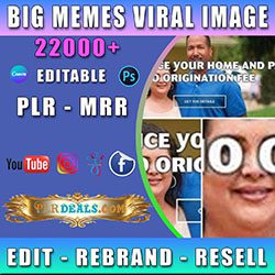 Viral plr big memes images