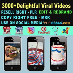Delightful Viral Videos-2025